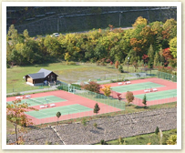 Asari Dam Tennis Courts